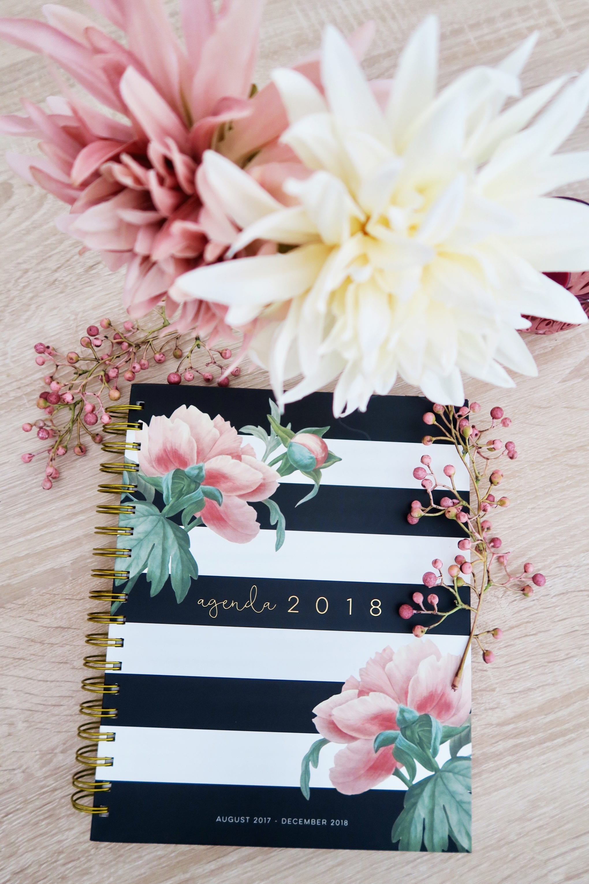 Life Update Frau Schirra bloggt