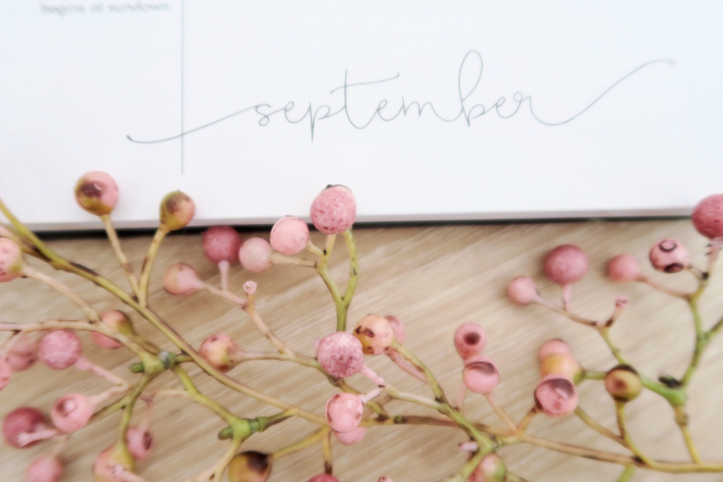 LIFE UPDATE – Mehr Sport, mehr lesen, weniger Chaos