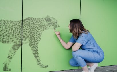Willkommen in Saarbrücken: Leben im Herzen des Saarlandes Teil I