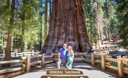 Sequoia-Nationalpark – Kalifornien, USA