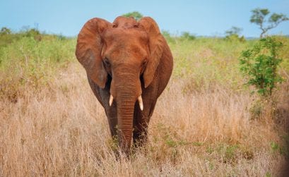 Erfahrungsbericht: Fotoausrüstung bei Grover mieten