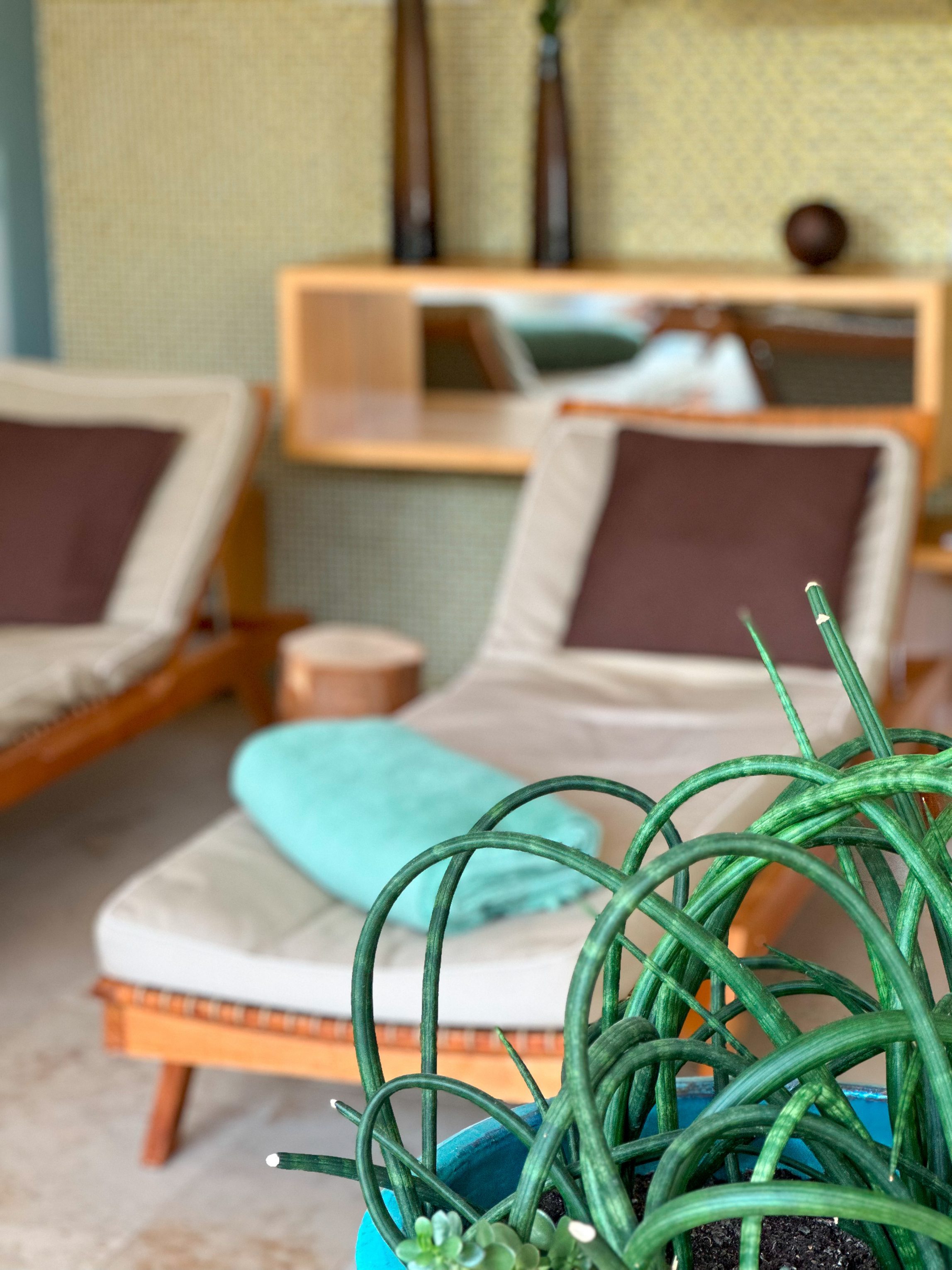 C91F6AB8-9345-4EAA-B536-EA5139AB1DAA